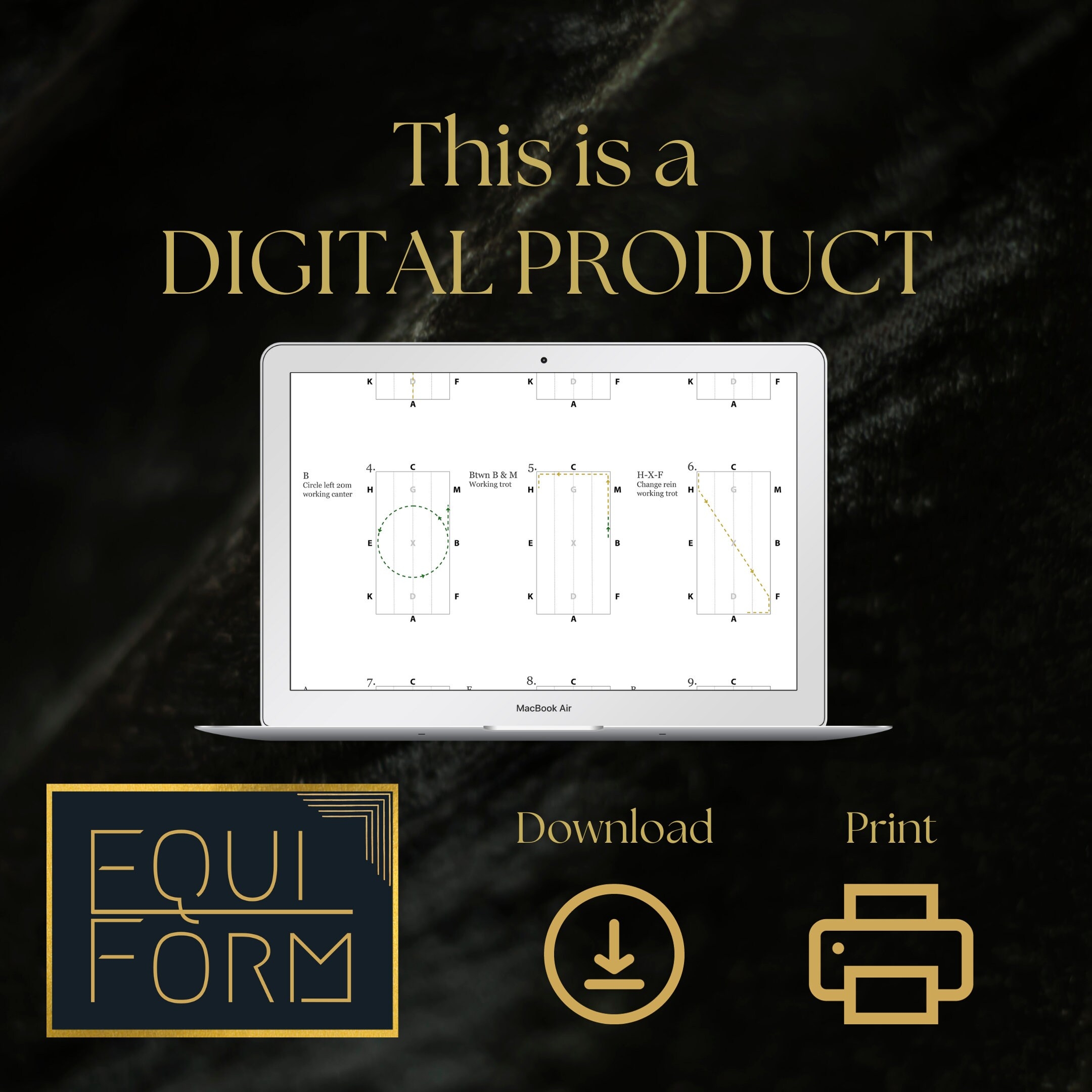 2022 USEA Beginner Novice Dressage Test Diagrams Etsy