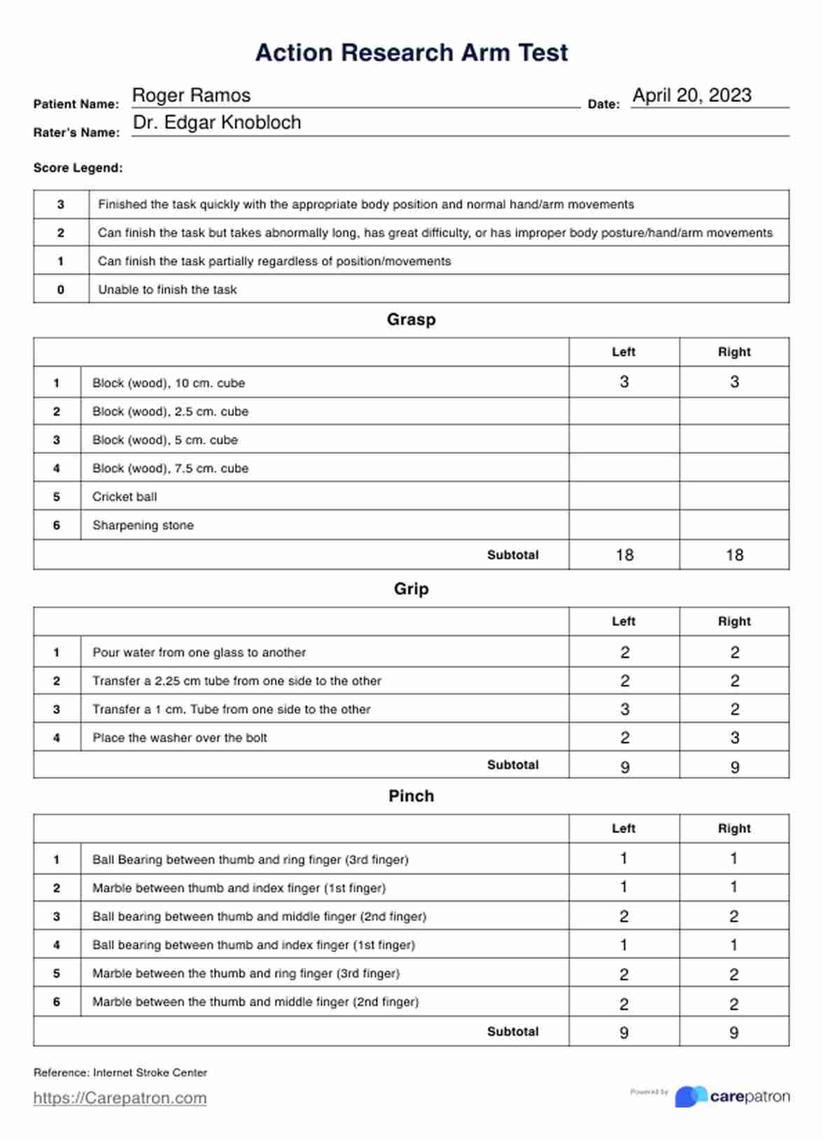 Action Research Arm Test ARAT U0026 Example Free PDF Download