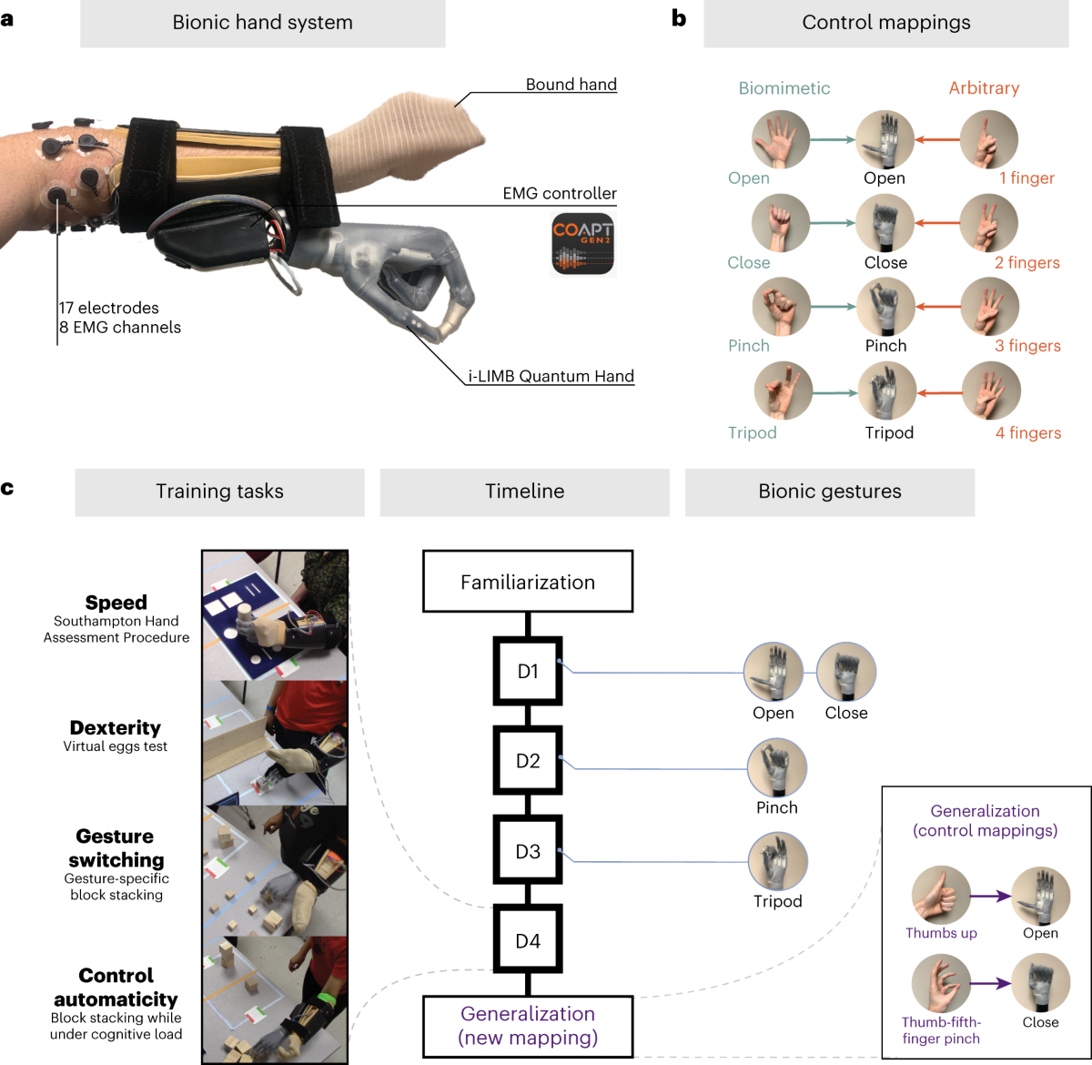 Biomimetic Versus Arbitrary Motor Control Strategies For Bionic 