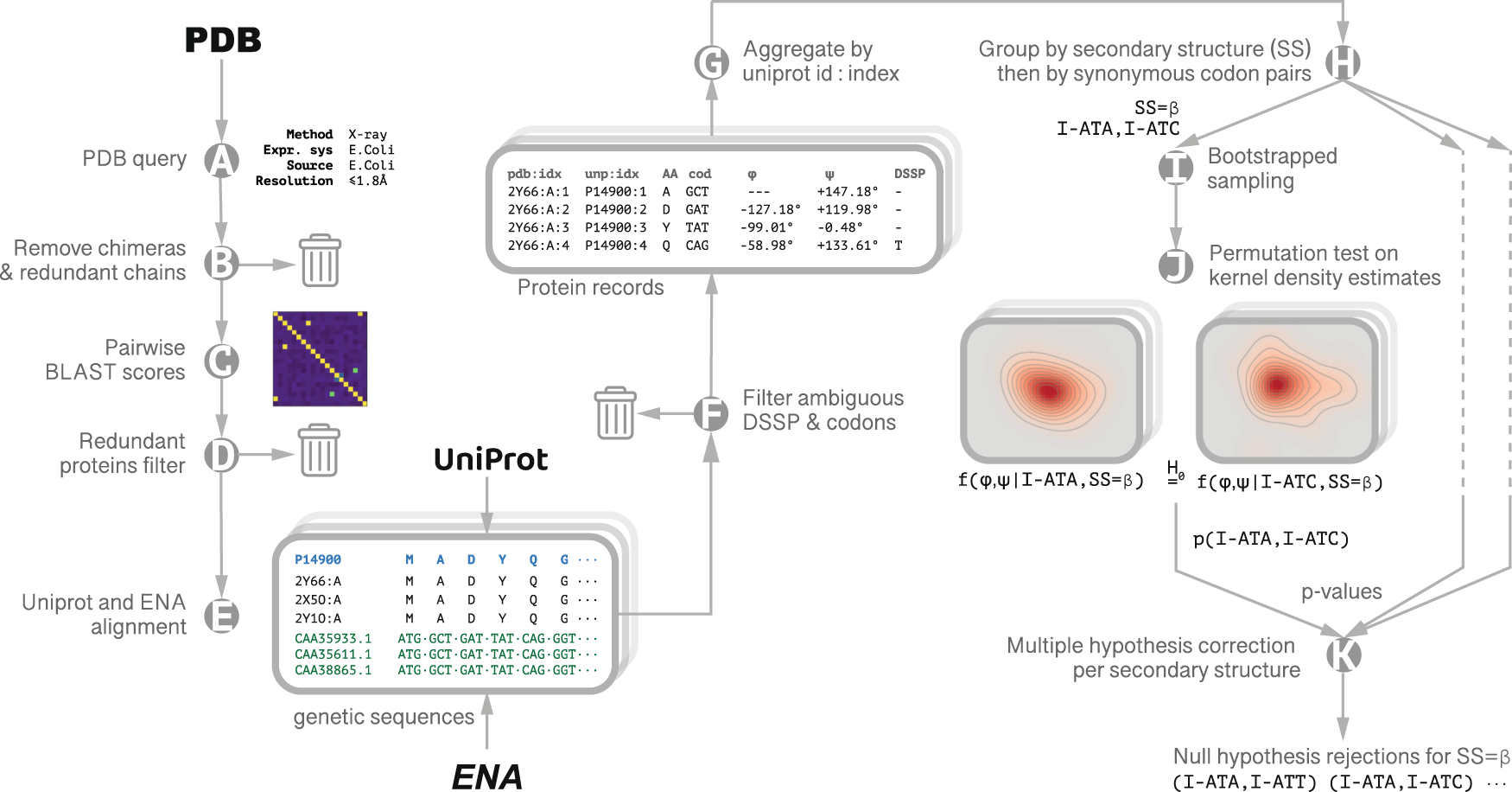 Codon specific Ramachandran Plots Show Amino Acid Backbone Codon specific Ramachandran Plots Show Amino Acid Backbone