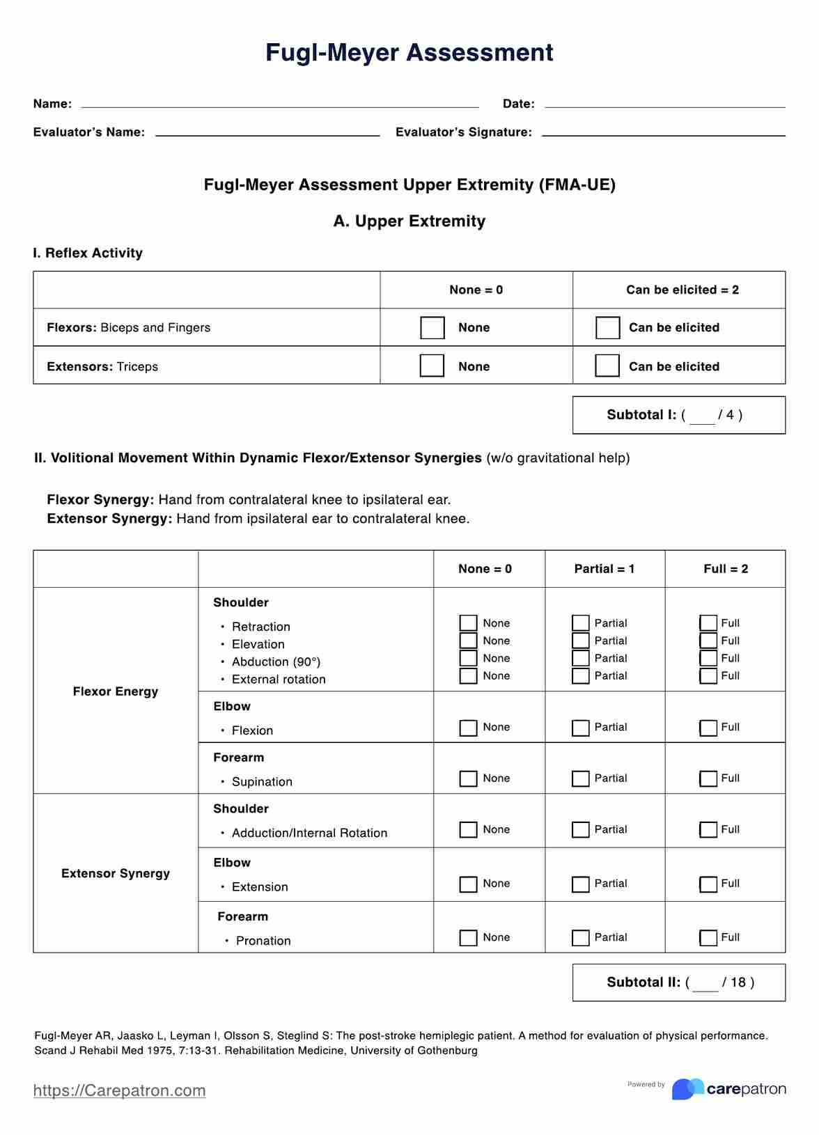 Fugl Meyer Assessment FMA U0026 Example Free PDF Download