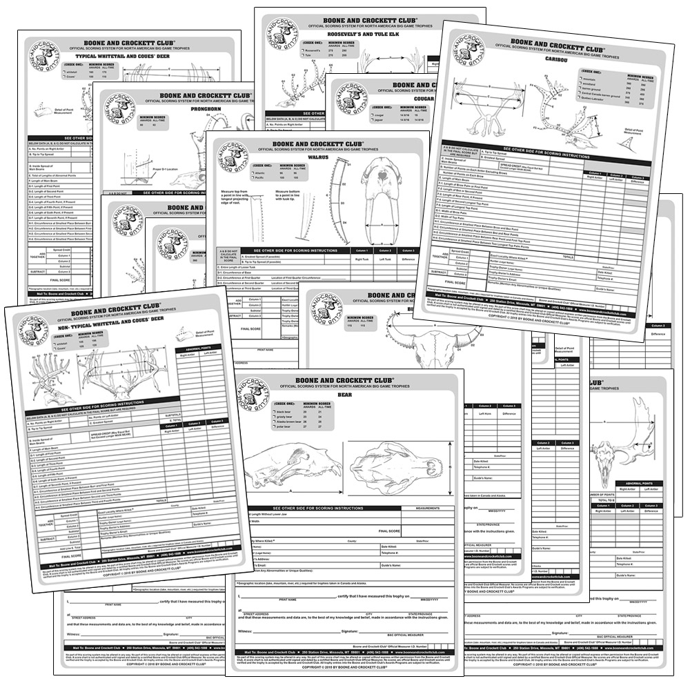 Printable Boone And Crockett Score Sheet