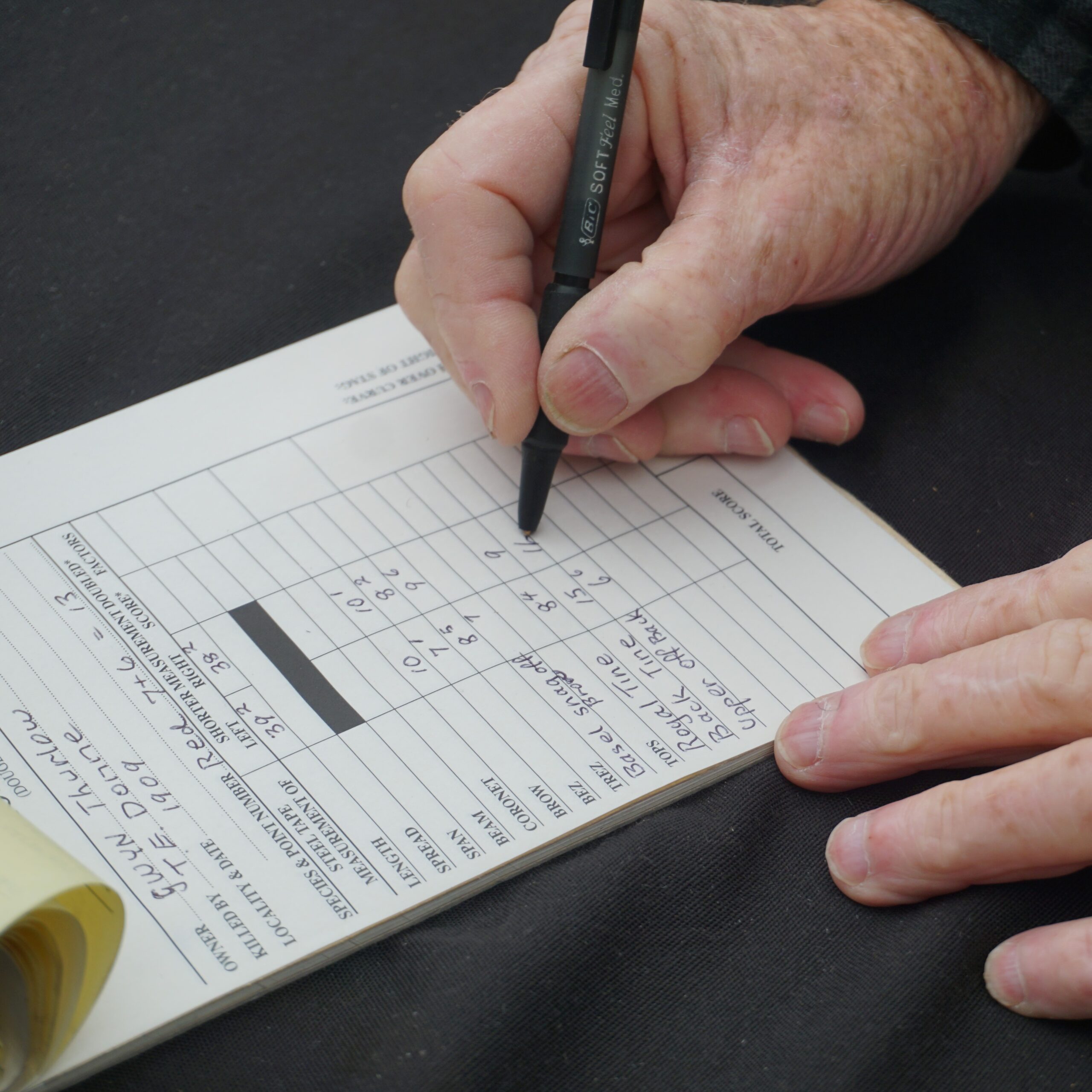 Whitetail Score Sheet Printable