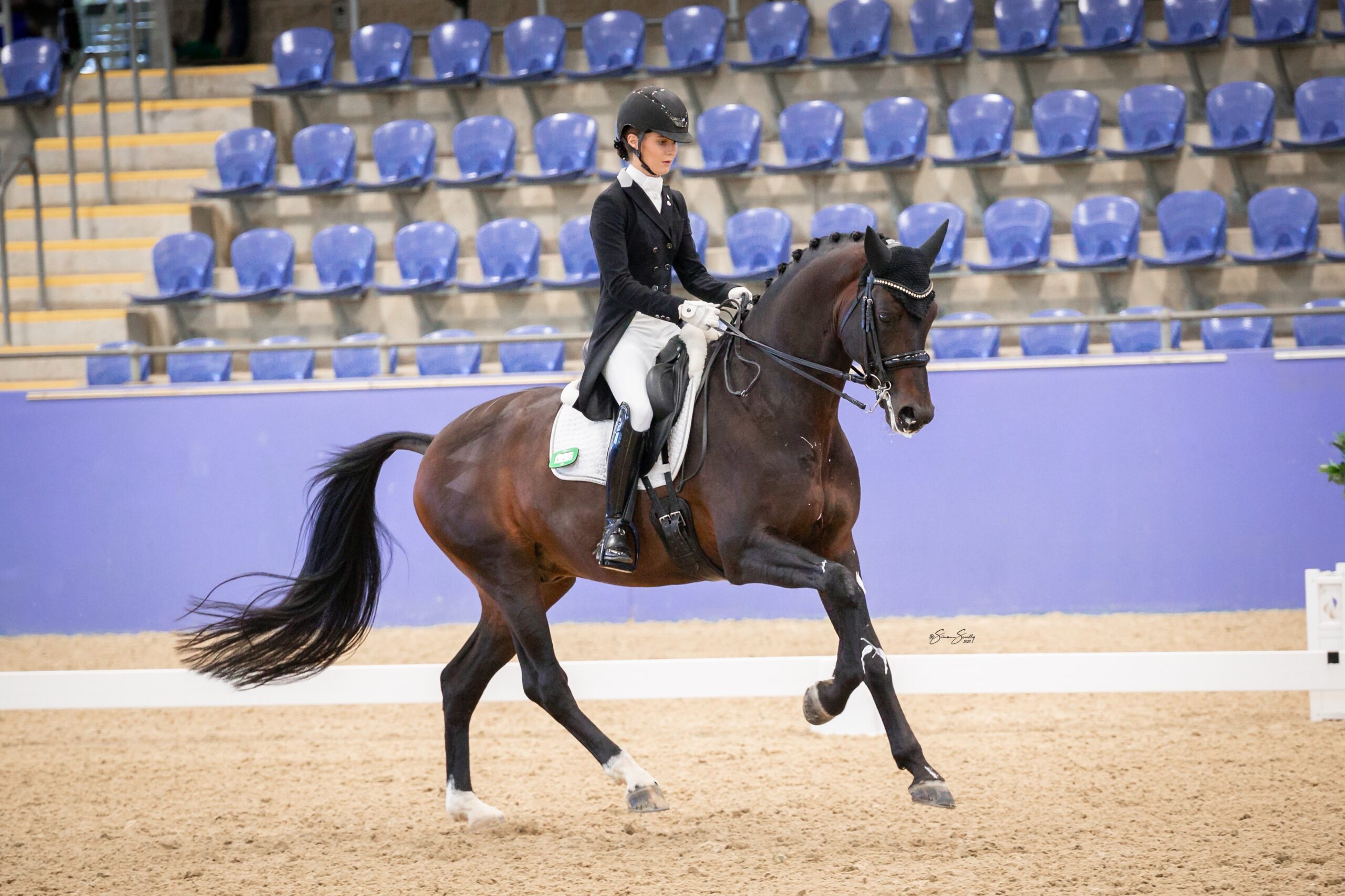 Intro A Dressage Test Score Sheet