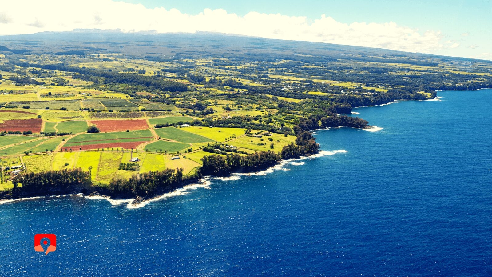 Kona Hawaii Road Test Score Sheet Kona Hawaii Road Test Score Sheet