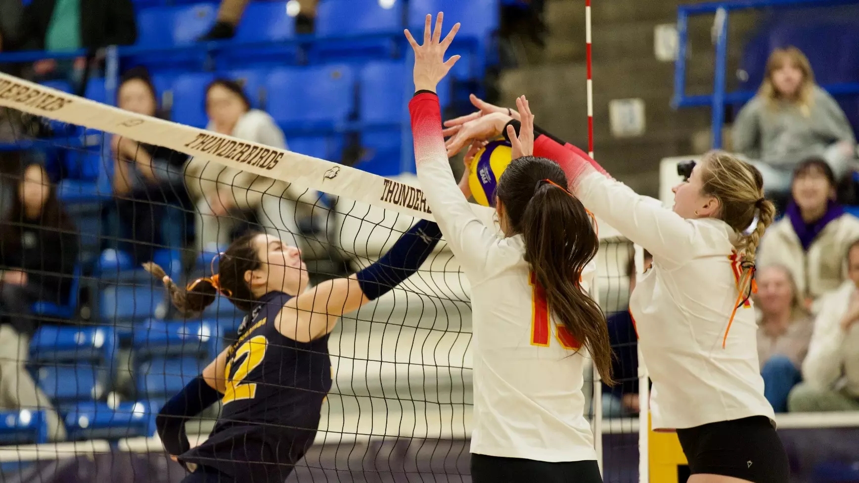 Dinos Head Into Break With Setback To Birds University Of Calgary Athletics Dinos Head Into Break With Setback To Birds University Of Calgary Athletics