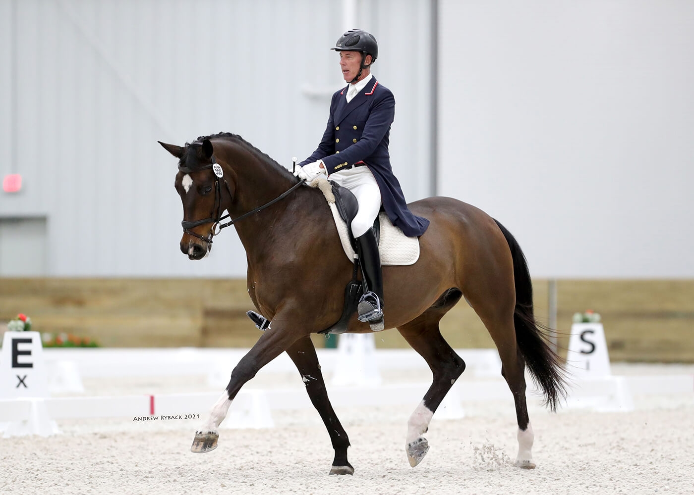 Master The 2022 USEF Beginner Novice Test B With Tips From Dressage Judge Ride IQ Master The 2022 USEF Beginner Novice Test B With Tips From Dressage Judge Ride IQ