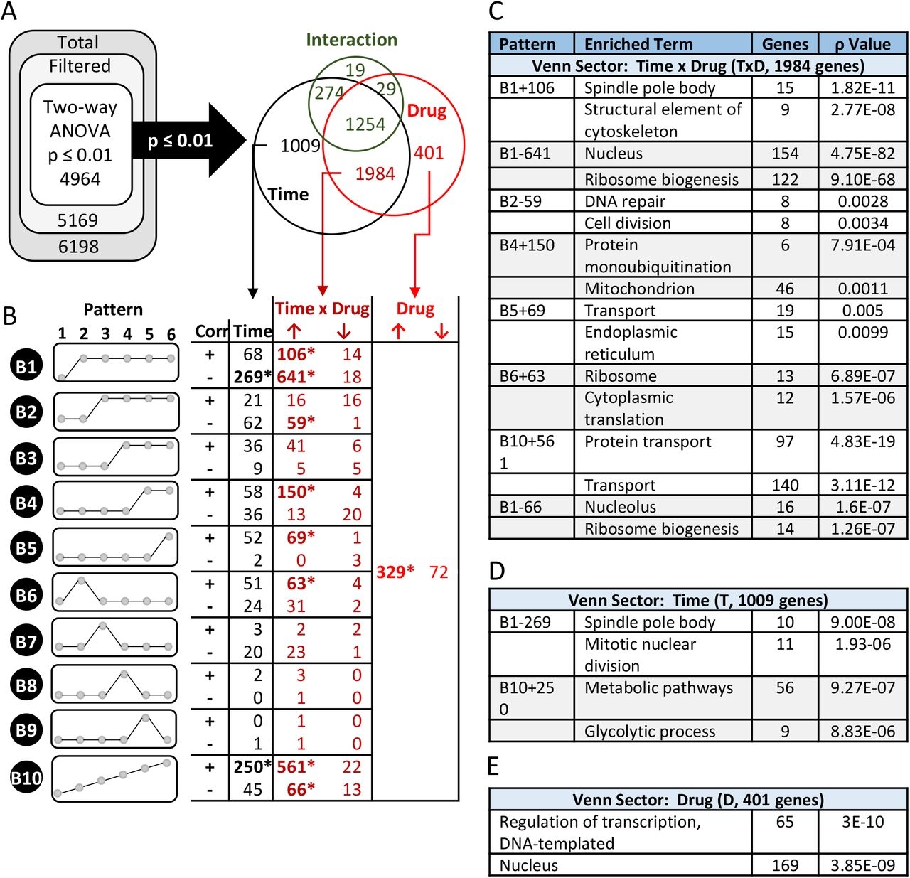 Driving Test Score Sheet Explanation