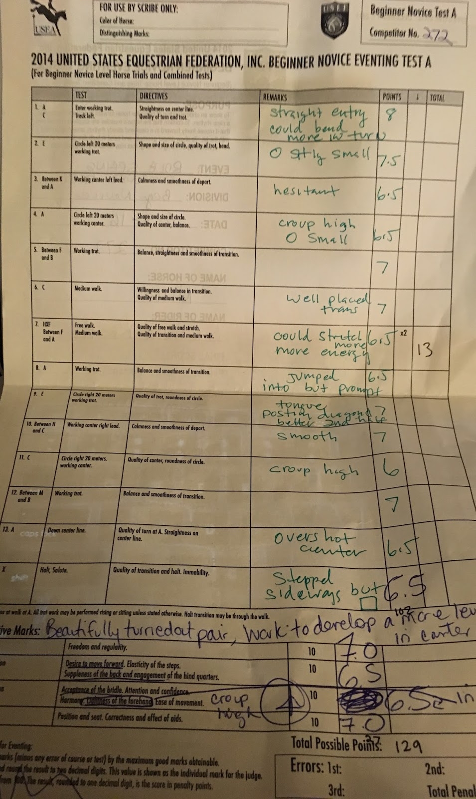 RDLA Combined Test Dressage DIY Horse Ownership