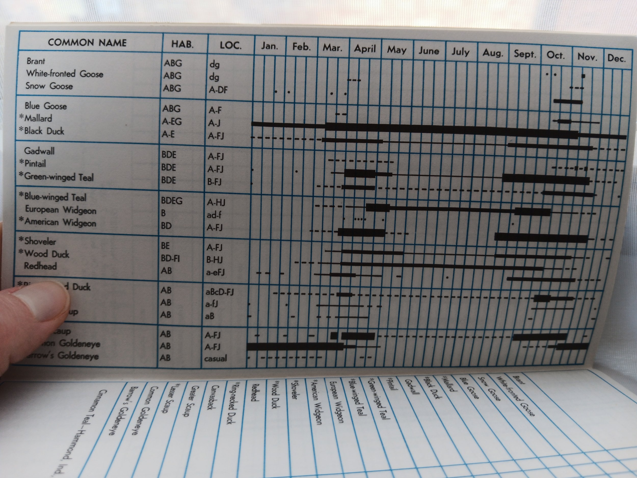 The Woodcock Takes Flight A Conversation With Walter Marcisz Chicago Ornithological Society