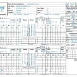 VolleyWrite Volleyball SK U0026 LT